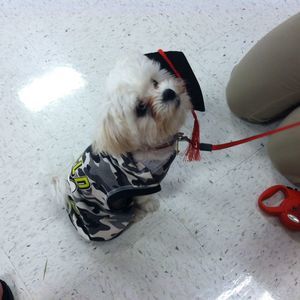 Meet your Posher, Linda